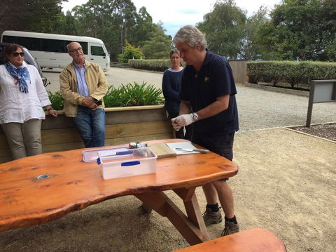 Bruny Island All Inclusive Gourmet Day Trip From Hobart - Accommodation ACT 17