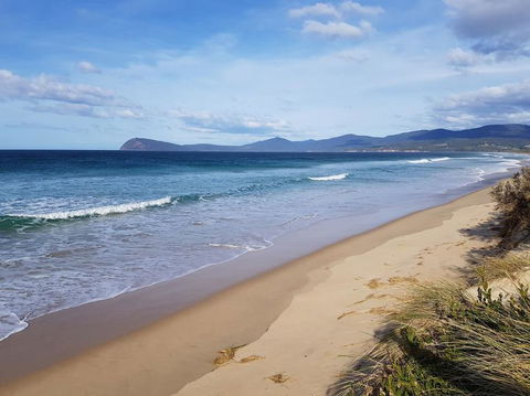 Bruny Island All Inclusive Gourmet Day Trip From Hobart - Accommodation ACT 6