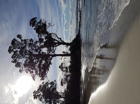 Bruny Island All Inclusive Gourmet Day Trip From Hobart - Accommodation ACT 5