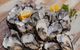 Bruny Island All Inclusive Gourmet Day Trip From Hobart - thumb 25