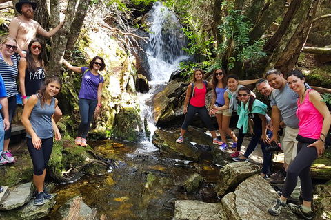 5-Day Best Of Tasmania Tour From Hobart - Accommodation ACT 9