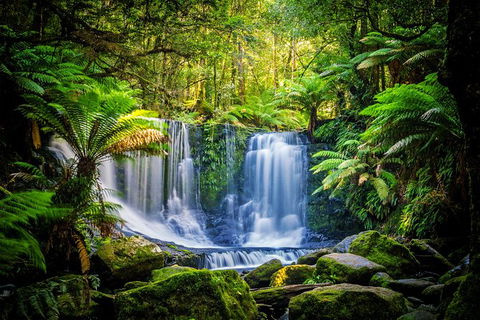 Day Tour In Mt. Field, Mt. Wellington, Bonorong Wildlife Sanctuary And Richmond - Accommodation ACT 0