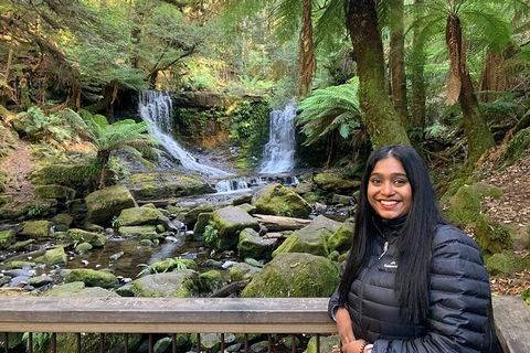 Day Tour In Mt. Field, Mt. Wellington, Bonorong Wildlife Sanctuary And Richmond - Accommodation ACT 4