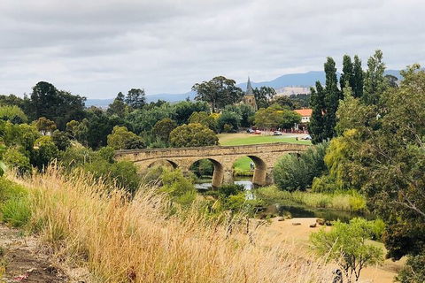 Day Tour In Mt. Field, Mt. Wellington, Bonorong Wildlife Sanctuary And Richmond - Accommodation ACT 6