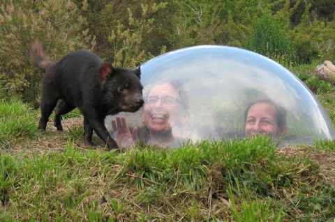 Small-Group Tour From Hobart: Tasmania Convict Trail And Port Arthur Day Trip - Accommodation ACT 3