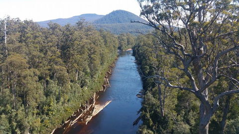 Small-group DayTour From Hobart: Hastings Caves, Huon Valley And Tahune AirWalk - Accommodation ACT 3