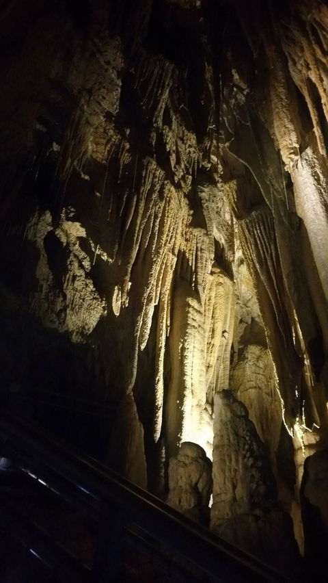 Small-group DayTour From Hobart: Hastings Caves, Huon Valley And Tahune AirWalk - Accommodation ACT 5