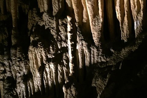 Small-group DayTour From Hobart: Hastings Caves, Huon Valley And Tahune AirWalk - Accommodation ACT 1
