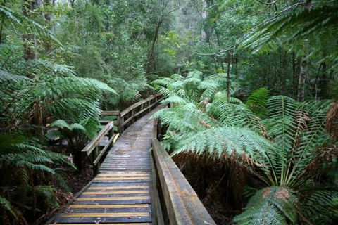 Small-group DayTour From Hobart: Hastings Caves, Huon Valley And Tahune AirWalk - Accommodation ACT 0