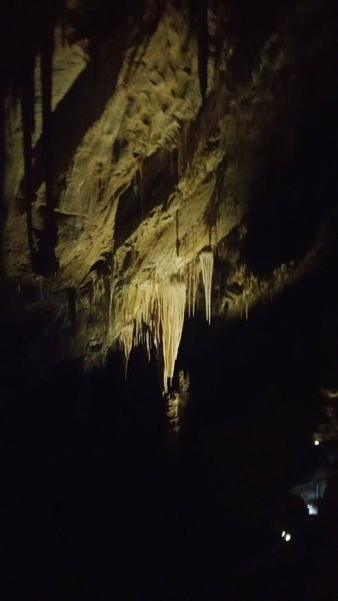 Small-group DayTour From Hobart: Hastings Caves, Huon Valley And Tahune AirWalk - Accommodation ACT 7