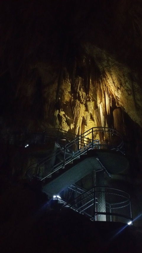 Small-group DayTour From Hobart: Hastings Caves, Huon Valley And Tahune AirWalk - Accommodation ACT 4