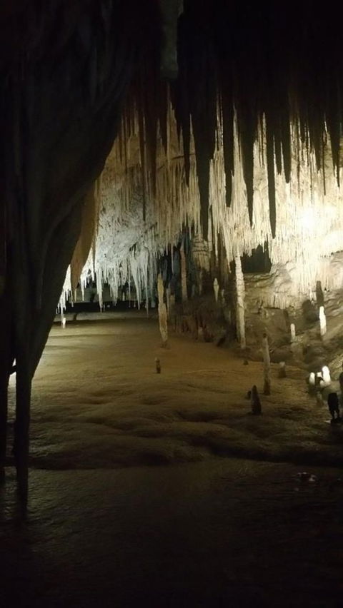 Small-group DayTour From Hobart: Hastings Caves, Huon Valley And Tahune AirWalk - Accommodation ACT 8