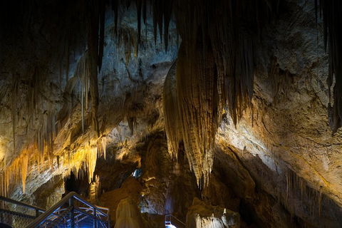 Small-group DayTour From Hobart: Hastings Caves, Huon Valley And Tahune AirWalk - Accommodation ACT 19
