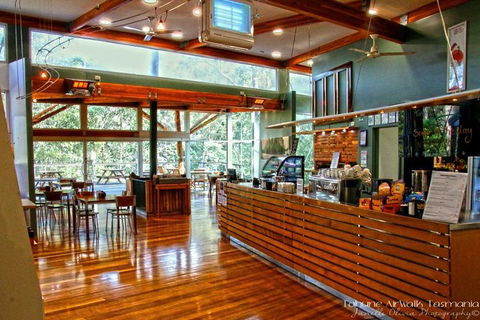 Small-group DayTour From Hobart: Hastings Caves, Huon Valley And Tahune AirWalk - Accommodation ACT 15
