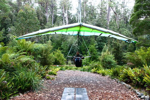 Small-group DayTour From Hobart: Hastings Caves, Huon Valley And Tahune AirWalk - Accommodation ACT 10