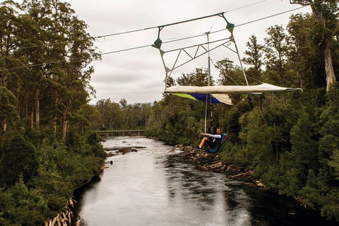 Small-group DayTour From Hobart: Hastings Caves, Huon Valley And Tahune AirWalk - Accommodation ACT 14