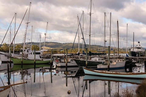 Small-group DayTour From Hobart: Hastings Caves, Huon Valley And Tahune AirWalk - Accommodation ACT 13