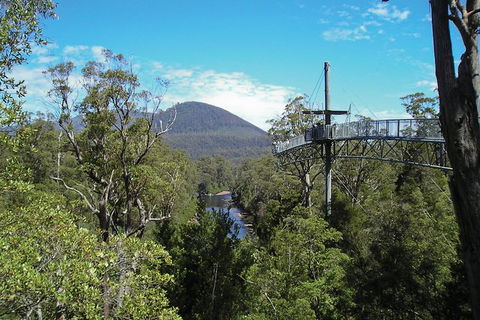 Small-group DayTour From Hobart: Hastings Caves, Huon Valley And Tahune AirWalk - Accommodation ACT 9