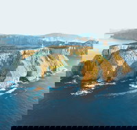 3-Hour Tasman Peninsula Wilderness Cruise from Port Arthur - Accommodation ACT