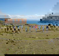 Maria Island Active Day Trip from Hobart - Accommodation ACT