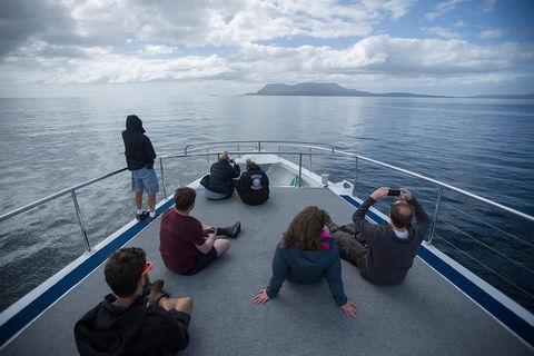 Maria Island Active Day Trip From Hobart - Accommodation ACT 13