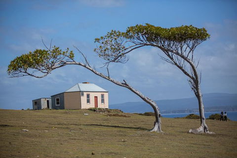 Maria Island Active Day Trip From Hobart - Accommodation ACT 3