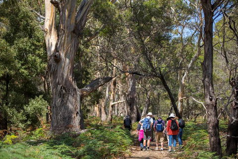 Maria Island Active Day Trip From Hobart - Accommodation ACT 12