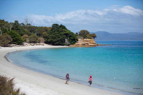 Maria Island Active Day Trip From Hobart - Accommodation ACT 2