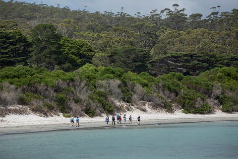 Maria Island Active Day Trip From Hobart - Accommodation ACT 11
