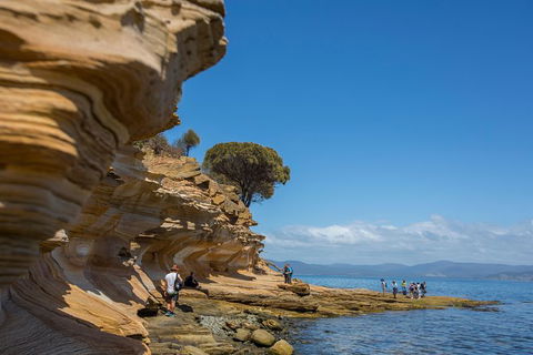Maria Island Active Day Trip From Hobart - Accommodation ACT 5