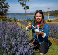 Port Arthur and Lavender Farm Active Day Tour - Accommodation ACT