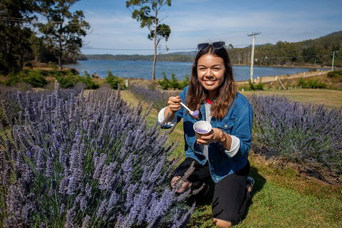 Port Arthur And Lavender Farm Active Day Tour - Accommodation ACT 0