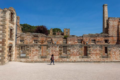 Port Arthur And Lavender Farm Active Day Tour - Accommodation ACT 1