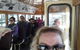 Hobart Half-Day Sightseeing Coach Tram Tour - thumb 2