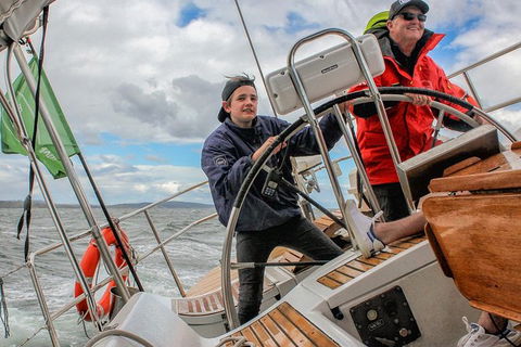 Half-Day Sailing On The Derwent River From Hobart - Accommodation ACT 4