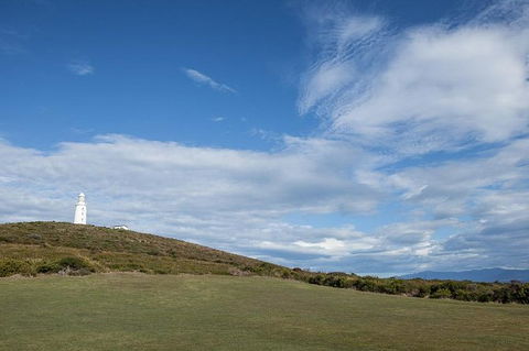 Bruny Island Premium Private Photo-oriented Day Tour From Hobart - Accommodation ACT 1
