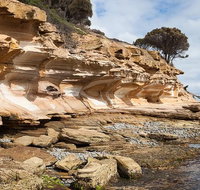 Maria Island premium private photo-oriented day tour from Hobart - Accommodation ACT