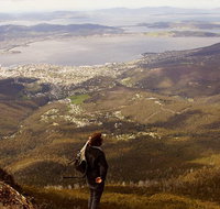 Mt Wellington Half Day Guided Summit Hike - Accommodation ACT