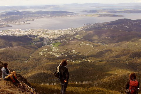 Mt Wellington Half Day Guided Summit Hike - Accommodation ACT 0