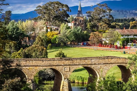Shore Excursion-Hobart Wanderer - Accommodation ACT 0