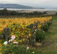 Mona and Wine Experience Tour - Accommodation ACT