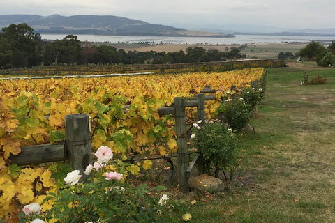 Mona And Wine Experience Tour - Accommodation ACT 0