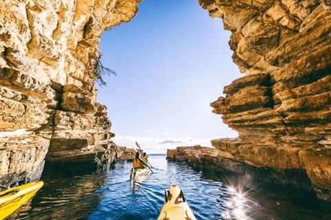 Hobart Kayak Tour - Accommodation ACT 0