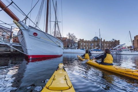 Hobart Kayak Tour - Accommodation ACT 1