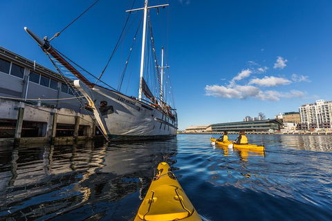 Hobart Kayak Tour - Accommodation ACT 8