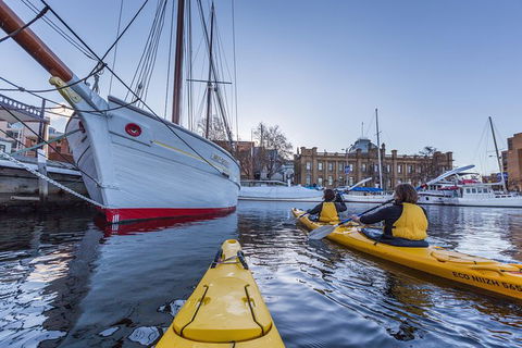 Hobart Kayak Tour - Accommodation ACT 5