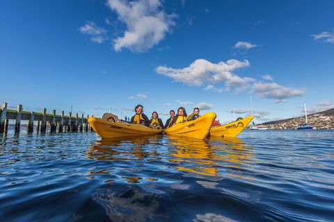 Hobart Kayak Tour - Accommodation ACT 7