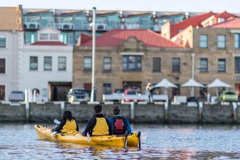 Hobart Kayak Tour - Accommodation ACT 6