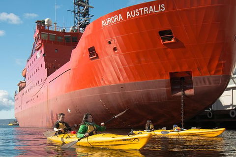 Hobart Kayak Tour - Accommodation ACT 3