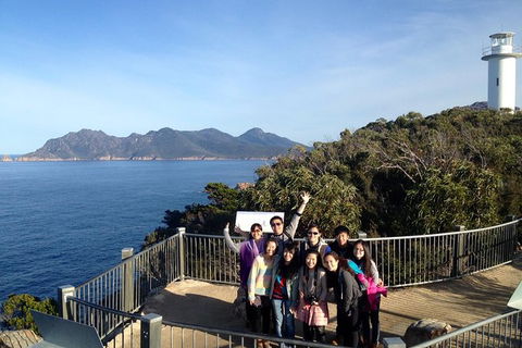 3-Day Tasmania Combo: Hobart To Launceston Active Tour - Accommodation ACT 0